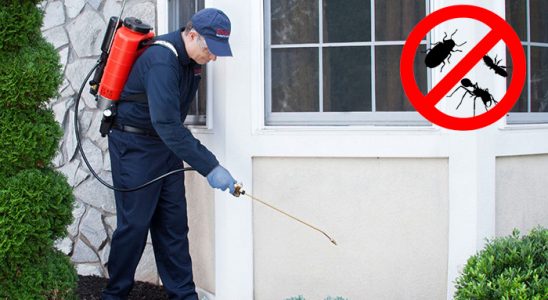 Elmadağ Bit İlaçlama böcek ilaçlama ve haşere kontrolü — ilaclama-tr.com